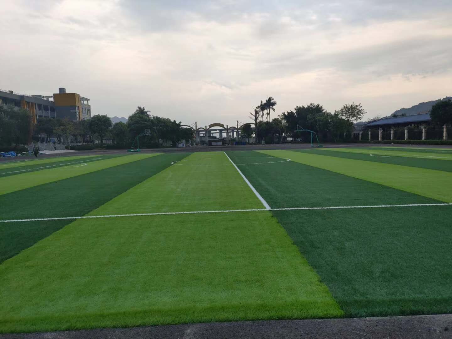 MTGRASS in Fujian