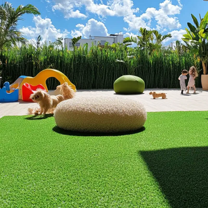 Artificial grass for dogs in the yard