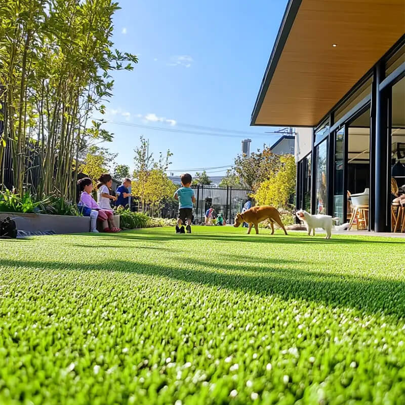 Children and pets playing on artificial grass in the yard